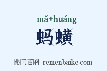 蚂蟥是什么意思的图片